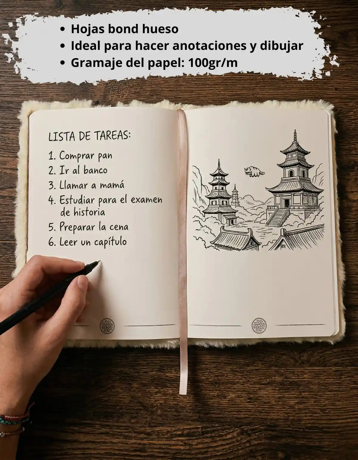 Libreta Appa Peluche Avatar The Last Airbender Original + Stickers