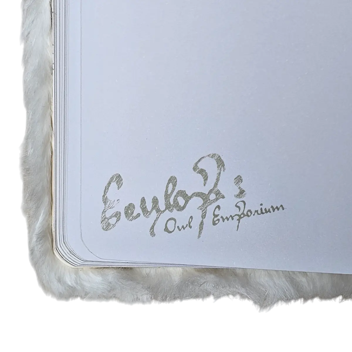 Libreta Harry Potter Hedwig Peluche 100 Hojas Coleccionista lechuza