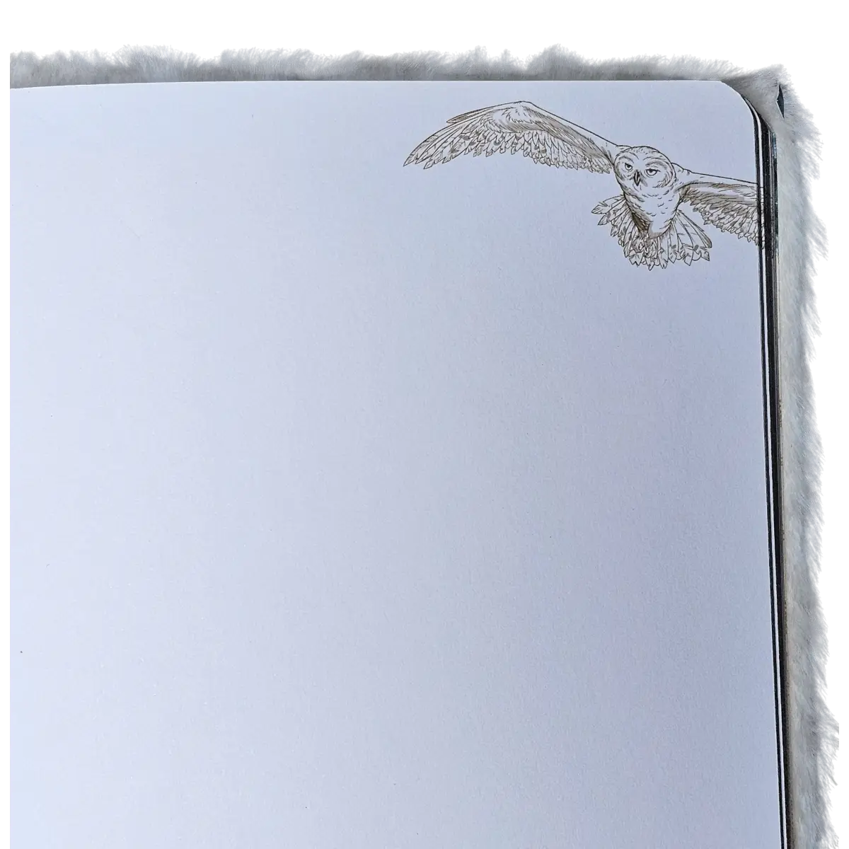 Libreta Harry Potter Hedwig Peluche 100 Hojas Coleccionista lechuza